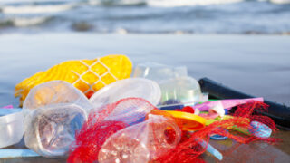 プラスチックを使わない暮らし【プラスチックフリー】な生活で環境を守る