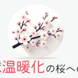 桜が咲かない春が来る？地球温暖化の桜への影響