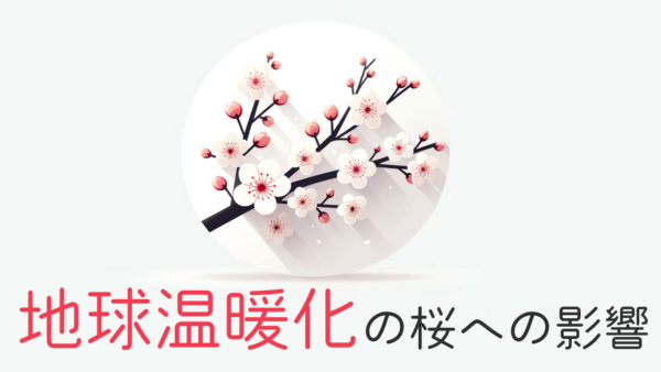 桜が咲かない春が来る？地球温暖化の桜への影響