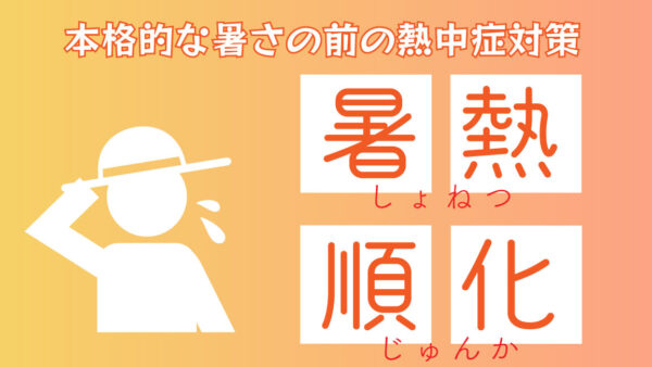 暑熱順化とは？本格的な暑さが来る前の【熱中症対策】